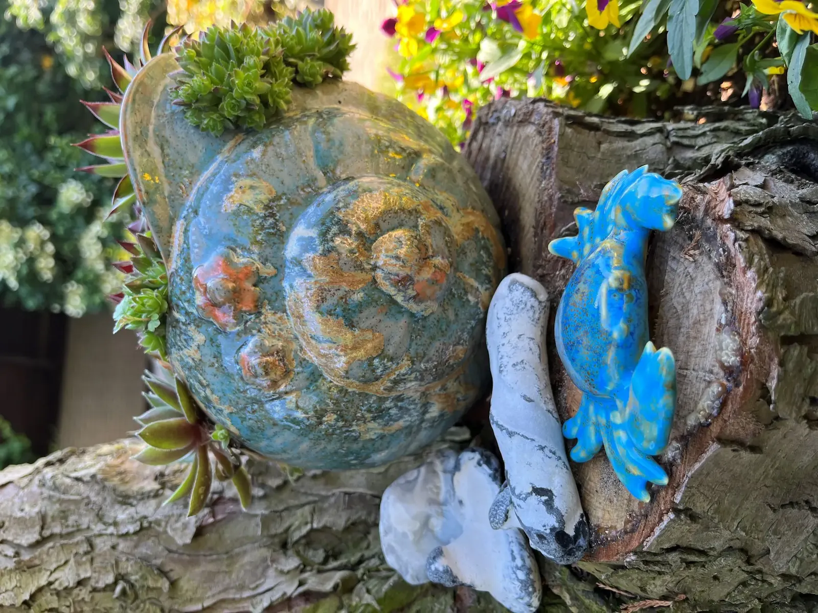 Kleine Krabbe – Bild 1